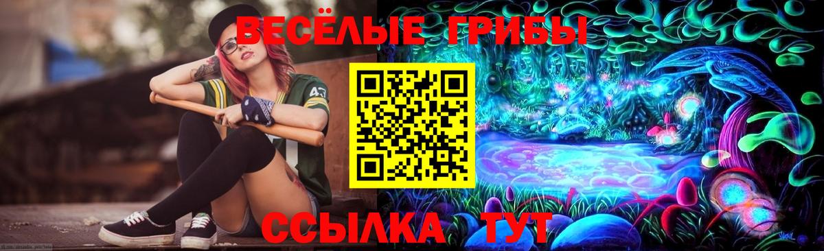 Галлюциногенные грибы мицелий Егорьевск