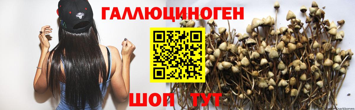 Галлюциногенные грибы GOLDEN TEACHER  Вход с VPN  Егорьевск 